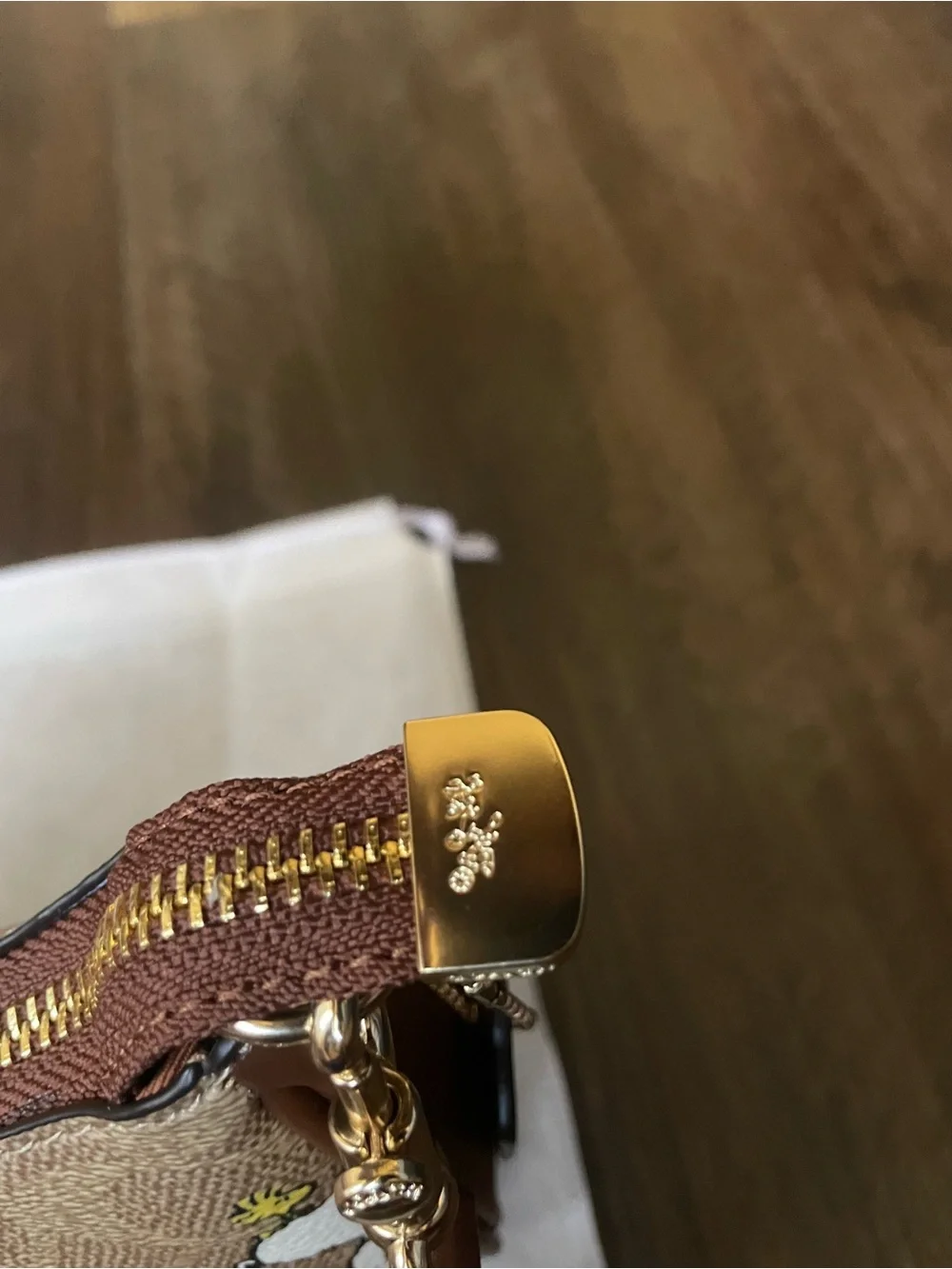 Coach X Peanuts Teri Bag - Picture 4 of 6
